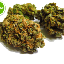 MARY TANGERINE
